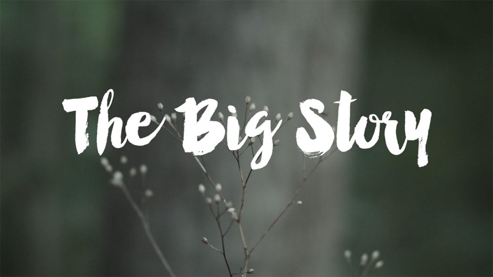 The Big Story