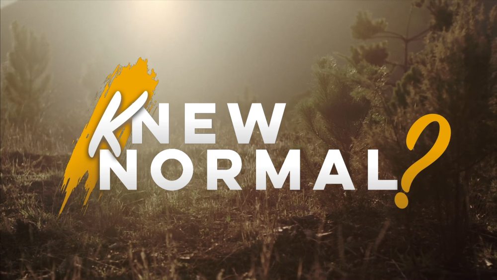 Knew Normal